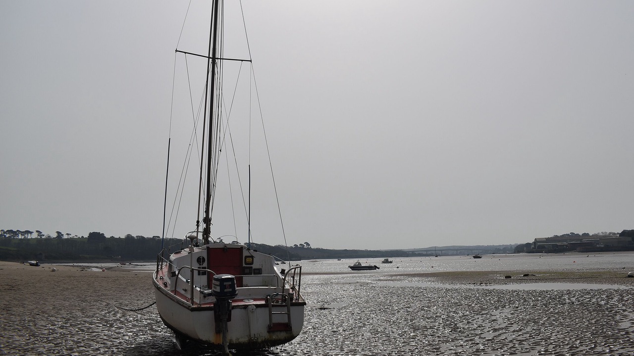 Photo of Others in Barnstaple