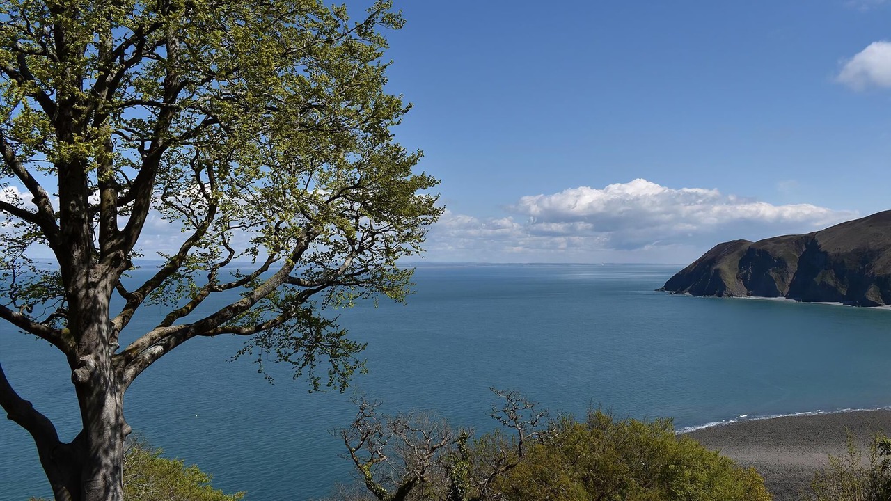 Photo of Others in Barnstaple