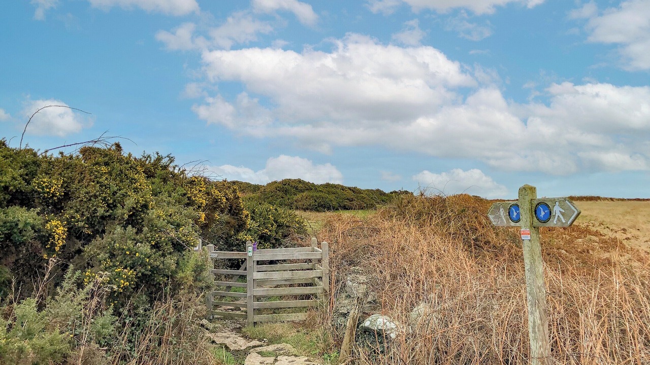 Photo of Others in Amlwch