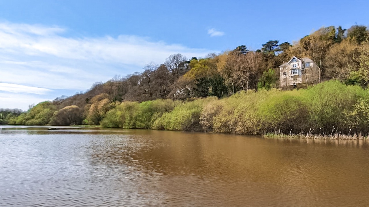 Photo of Others in Westleigh