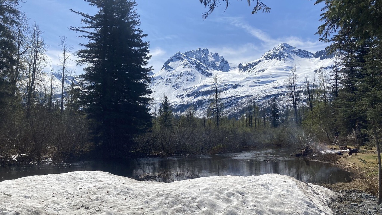 Photo of Others in Valdez