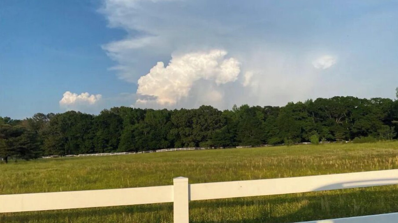 Photo of Others in Big Cedar