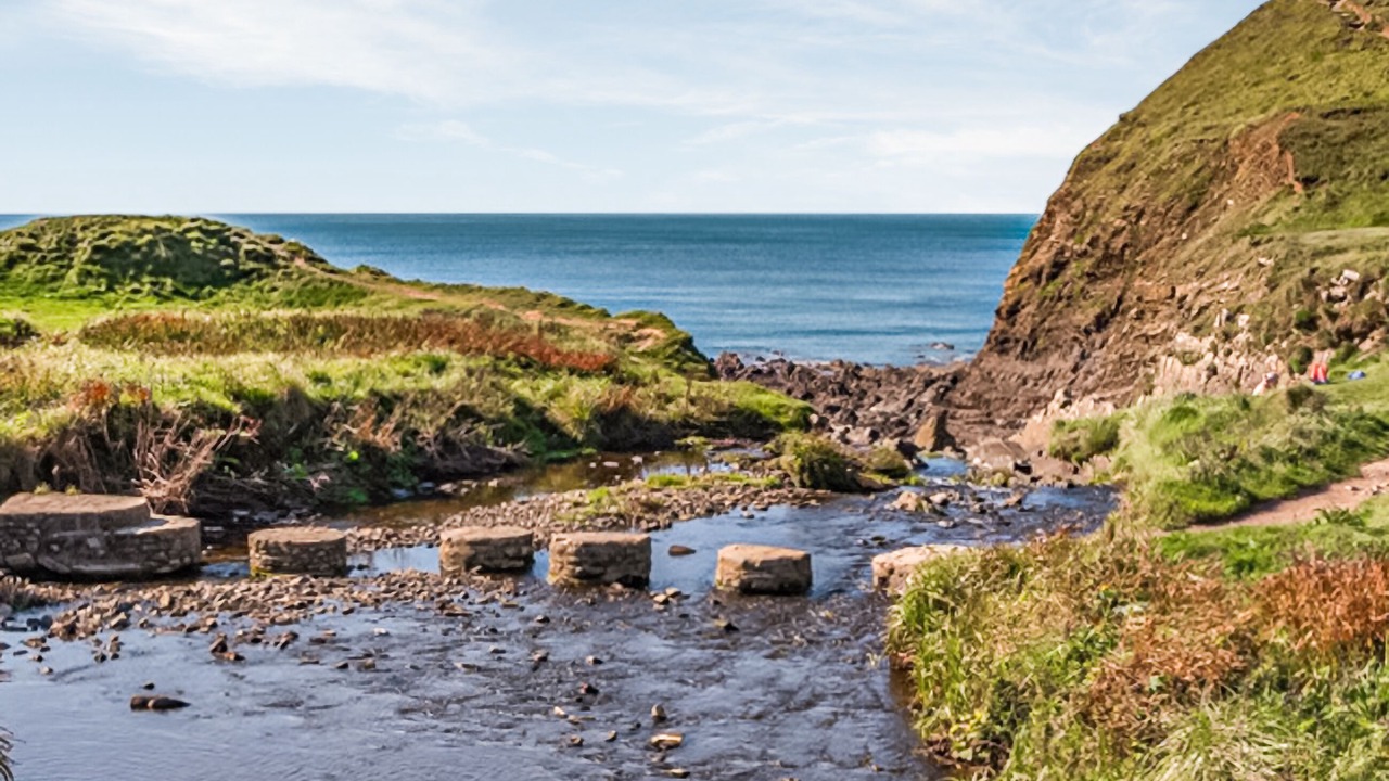 Photo of Others in Bideford