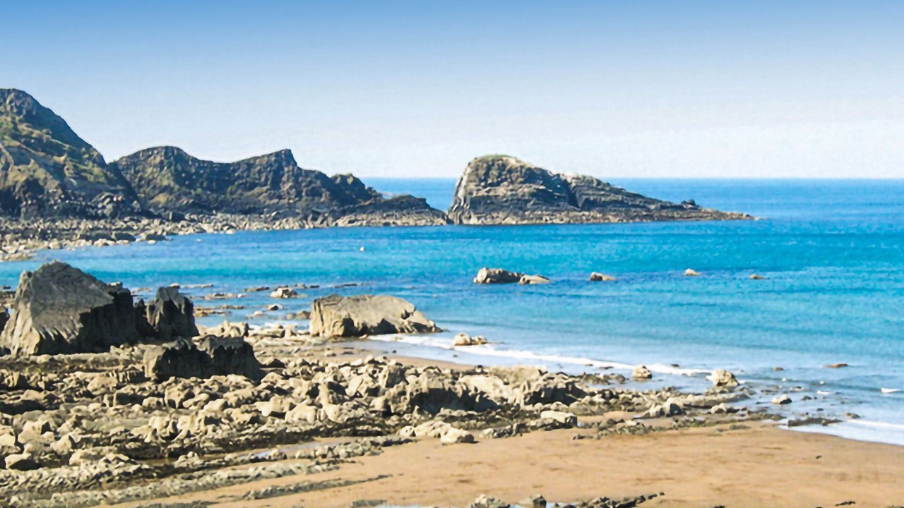 Photo of Others in Bideford