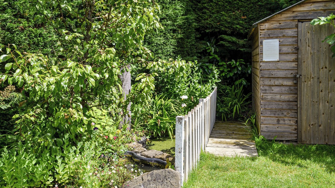 Photo of Outdoor in St Michaels