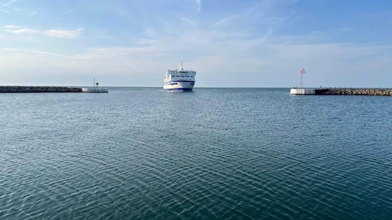 Photo of Others in Vestero Havn