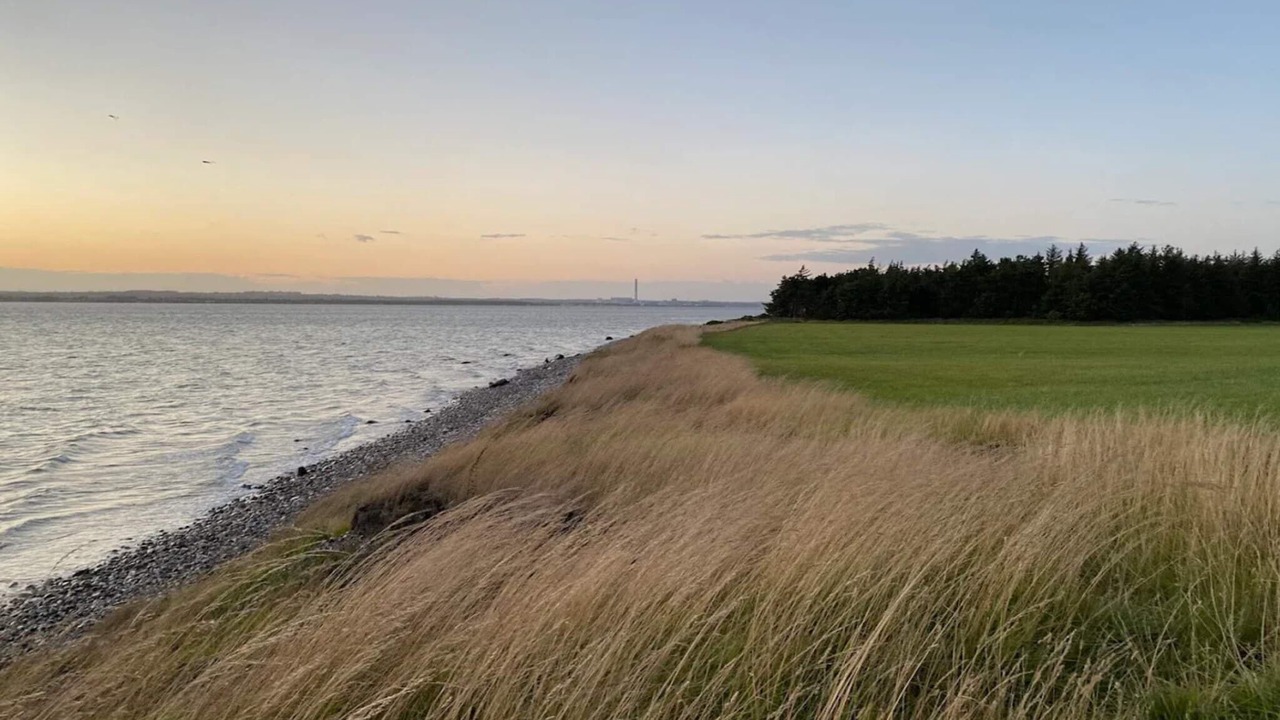 Photo of Others in Skødshoved Strand