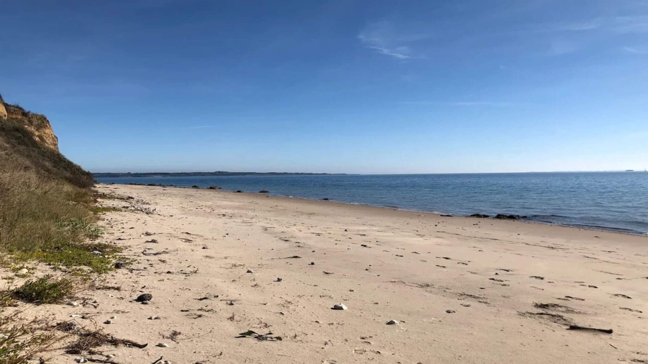 Photo of Others in Skødshoved Strand