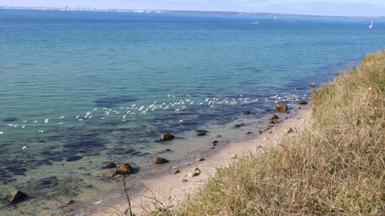 Photo of Others in Skødshoved Strand