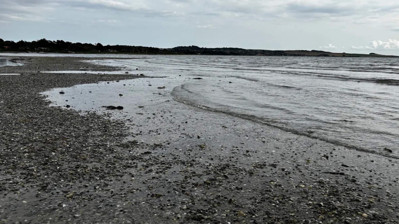 Photo of Others in Skødshoved Strand