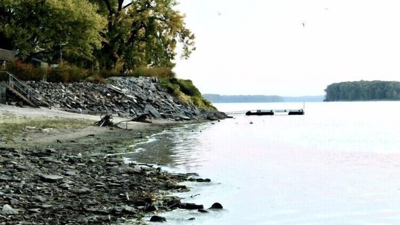 Photo of Others in Camanche