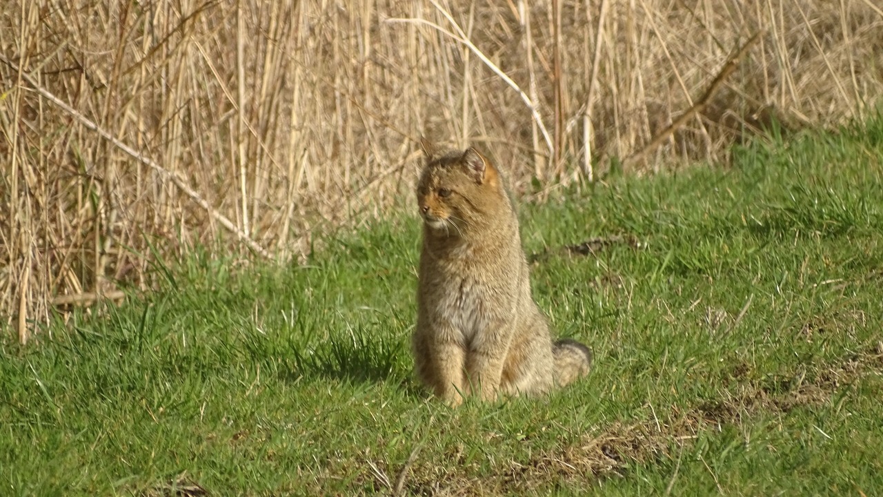 Photo of Outdoor in Belval-en-Argonne