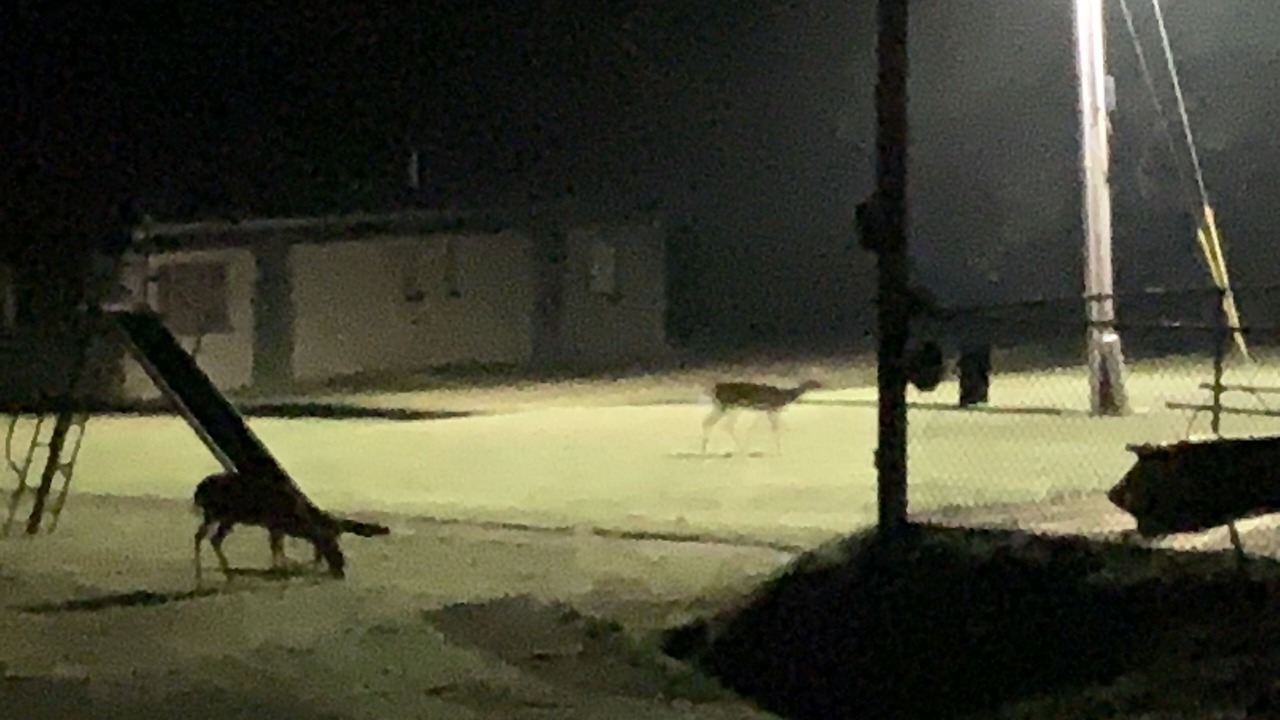 Photo of Outdoor in Oakland