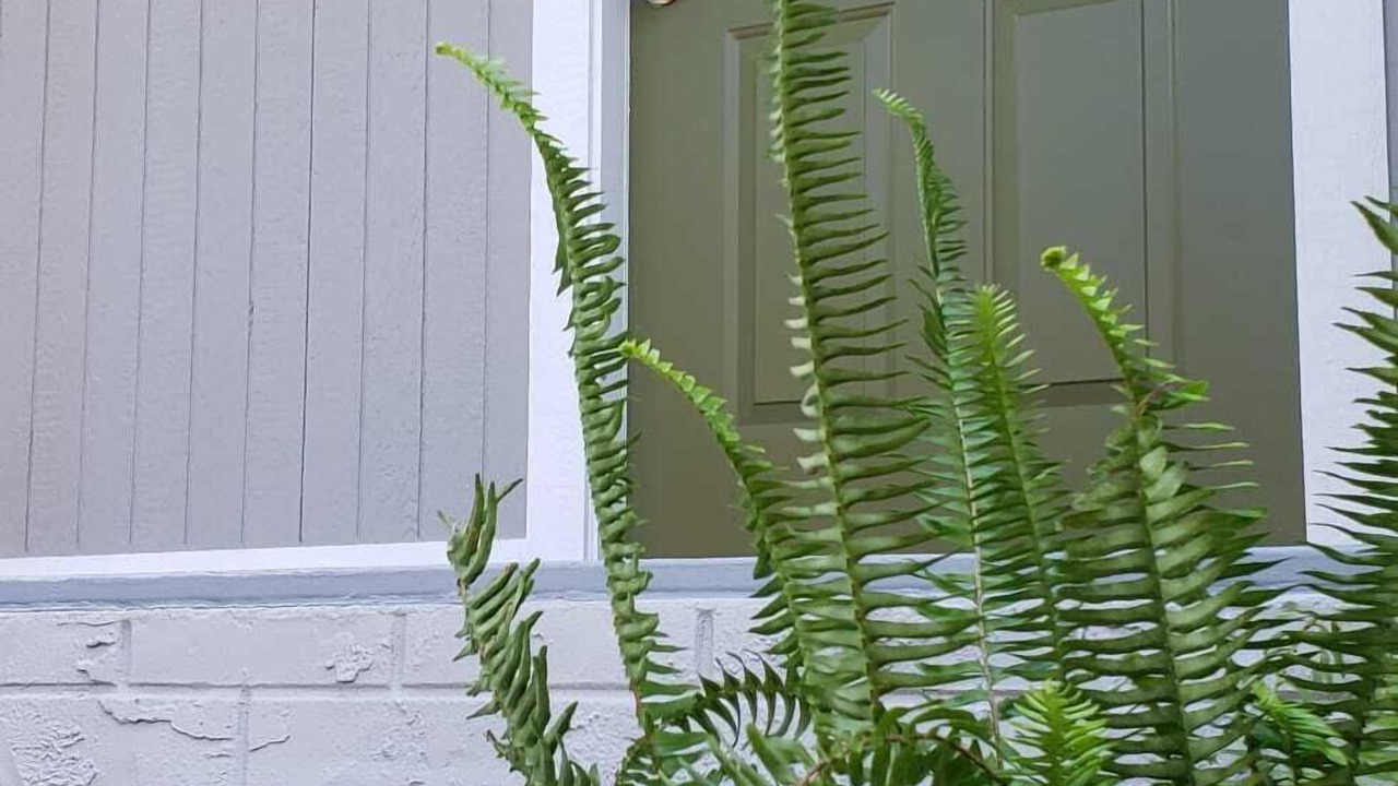 Photo of Outdoor in Avondale
