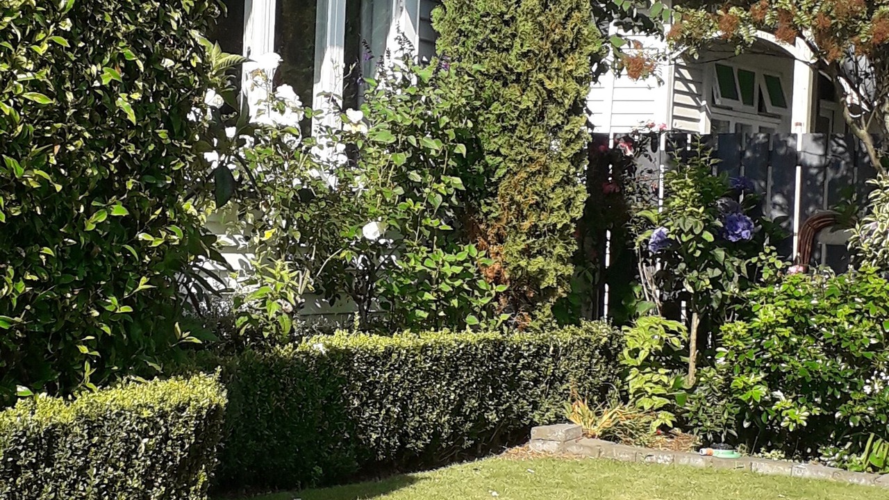 Photo of Outdoor in Hawera