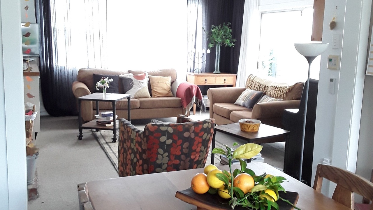 Photo of Livingroom in Hawera