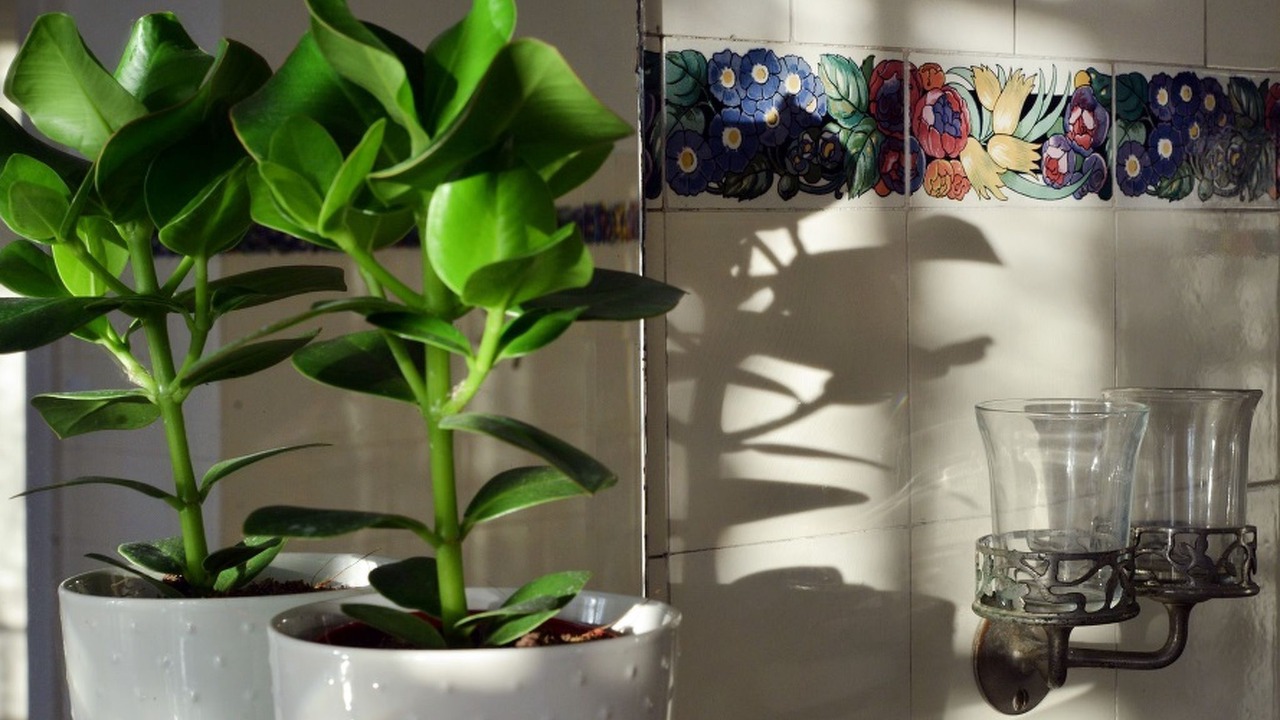 Photo of Bedroom in Delemont