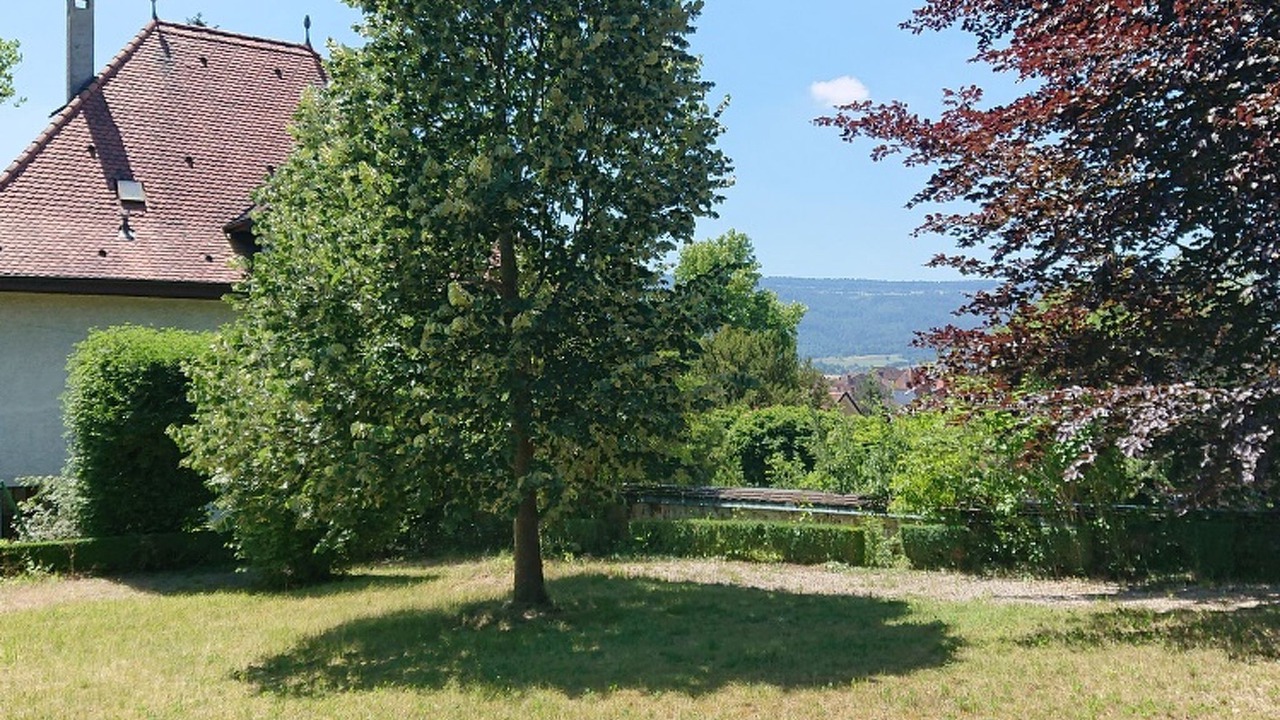 Photo of Others in Delemont