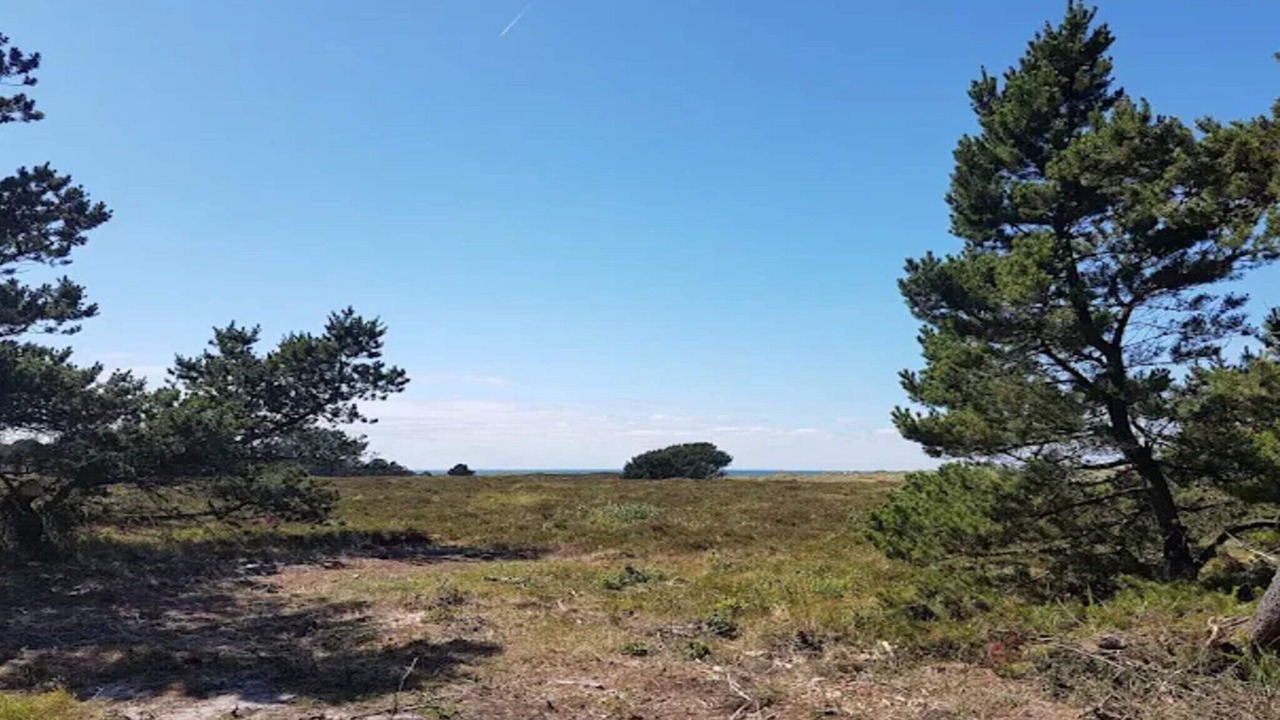 Photo of Others in Læsø