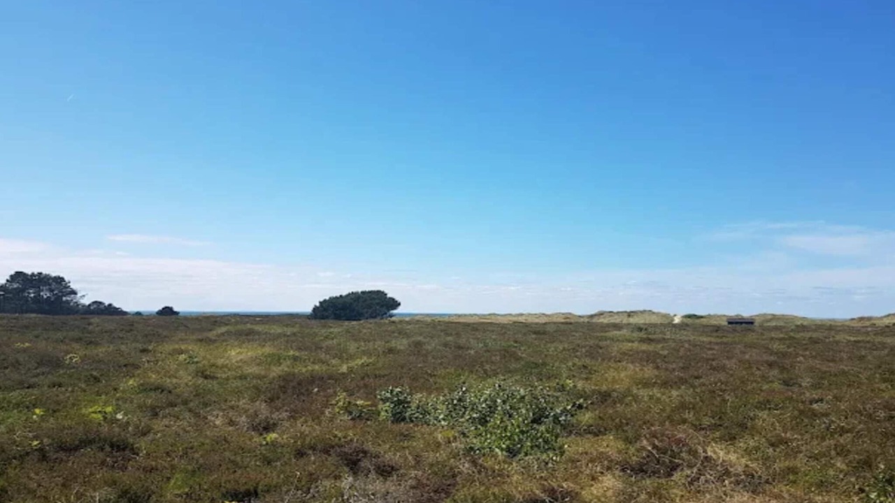 Photo of Others in Læsø