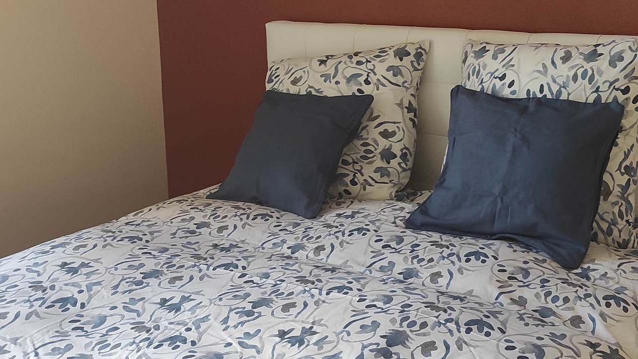 Photo of Bedroom in Aubigny-sur-Nere