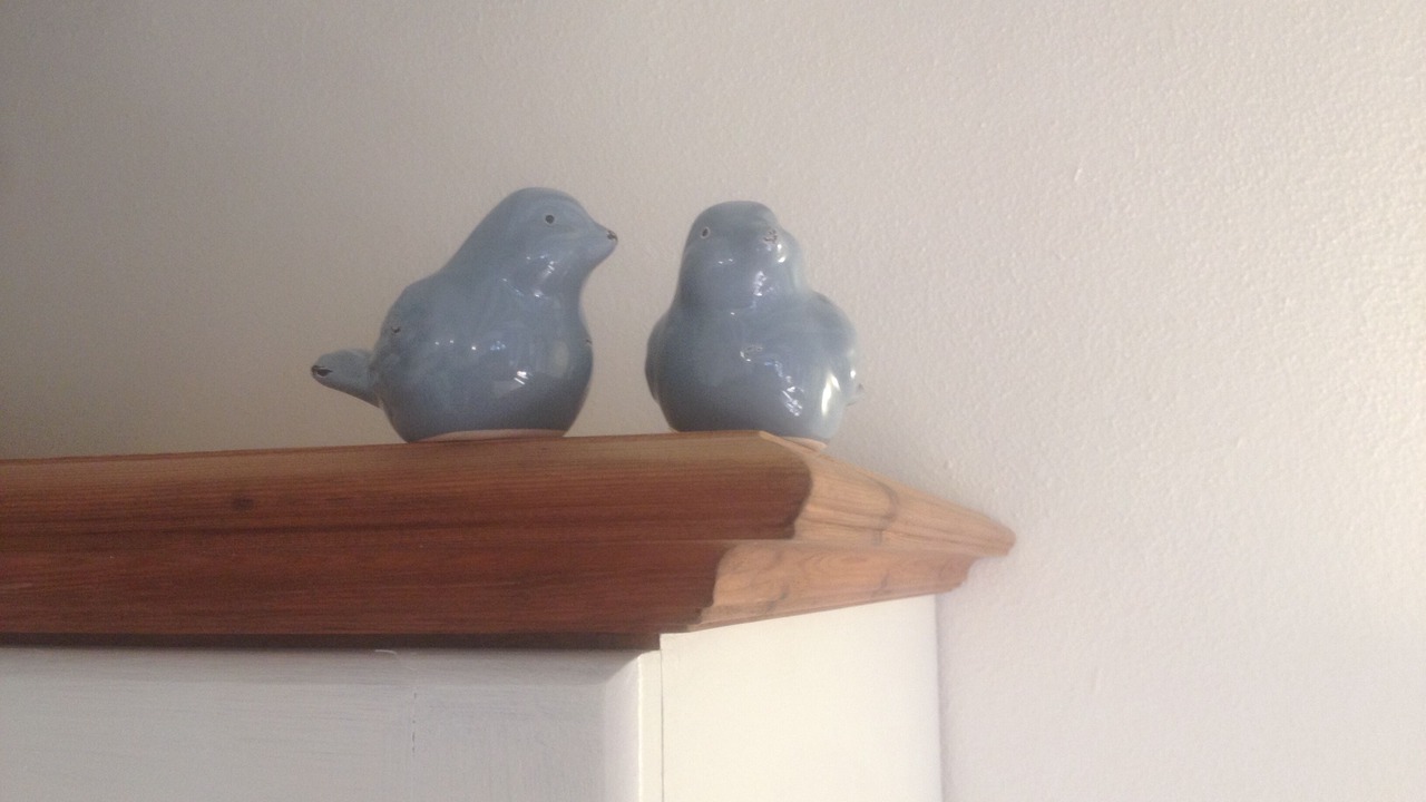 Photo of Others in Stokeinteignhead