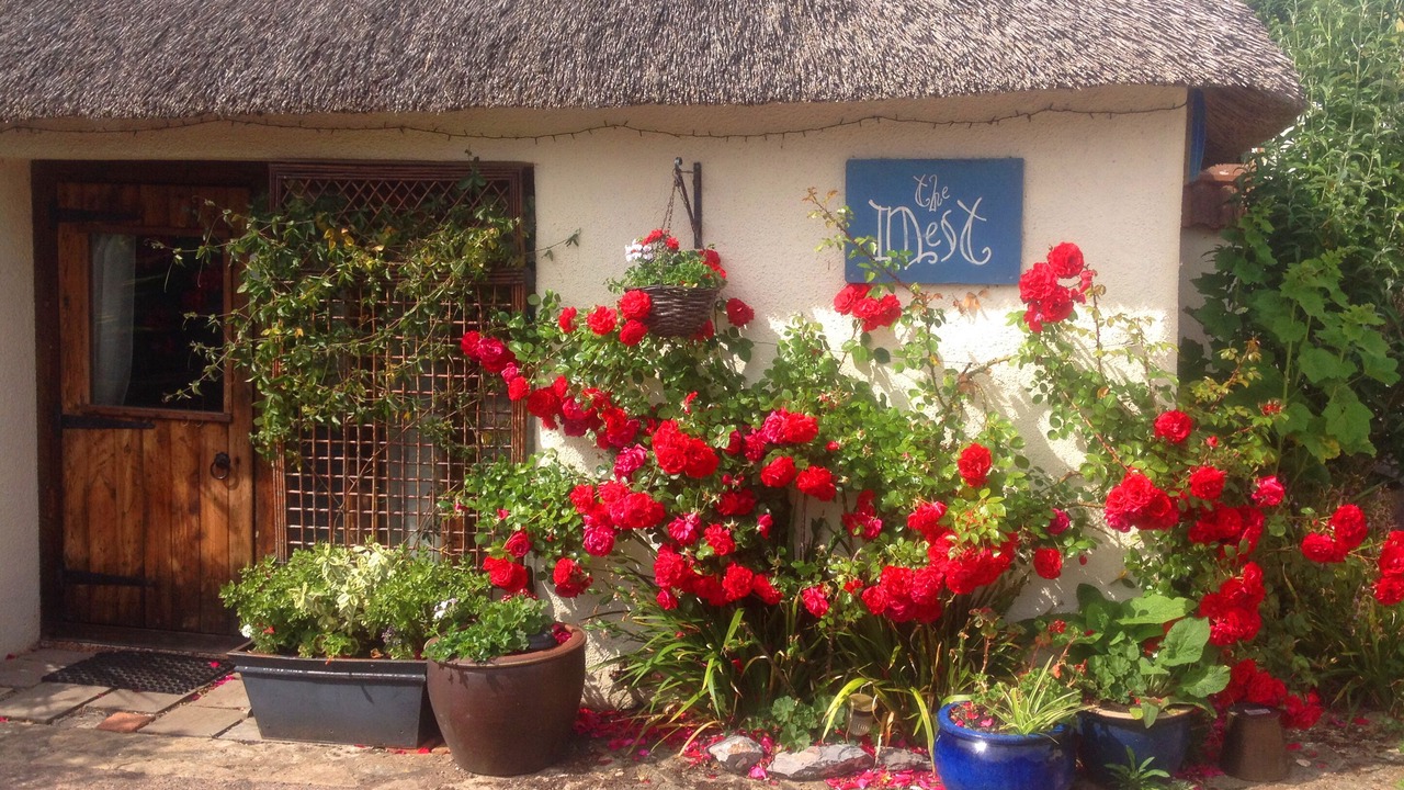 Photo of Outdoor in Stokeinteignhead