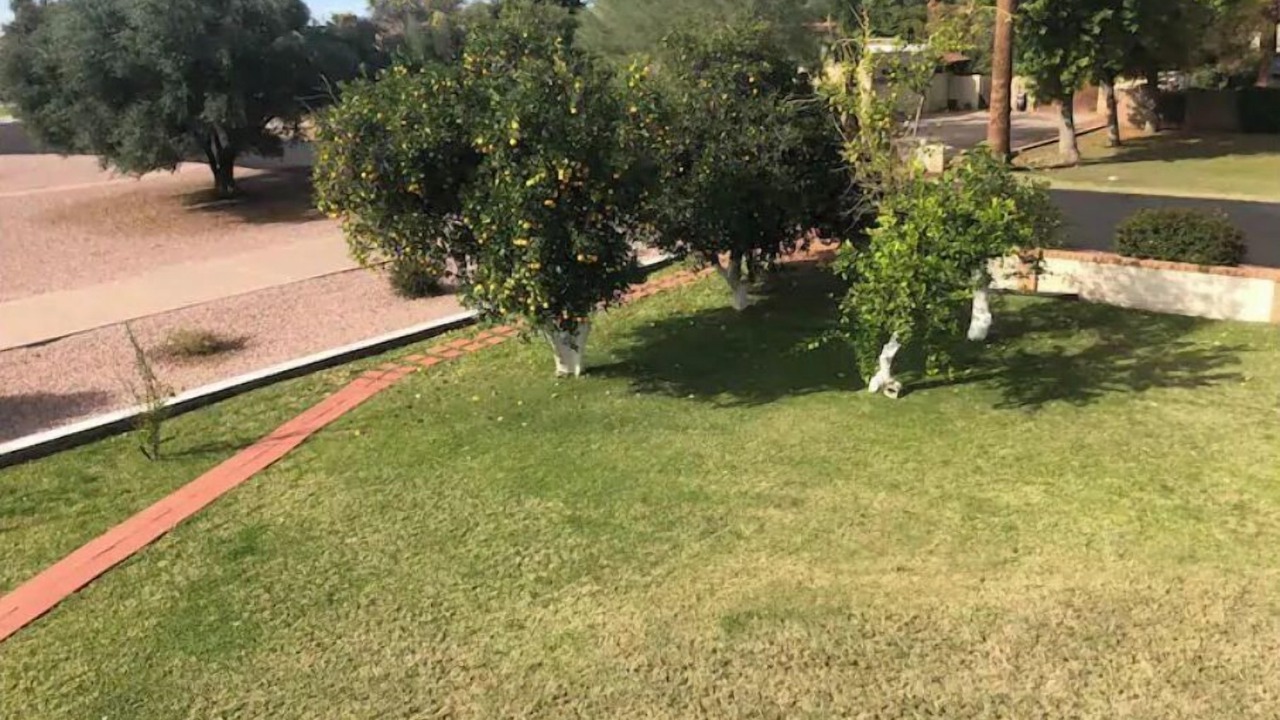 Photo of Outdoor in Chandler