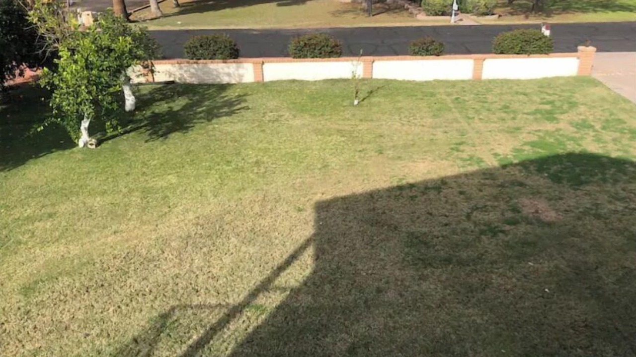 Photo of Outdoor in Chandler
