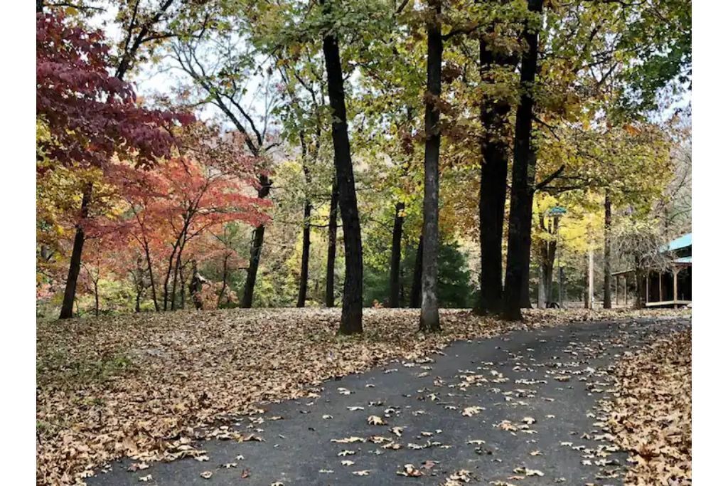 Photo of Outdoor in Pettit
