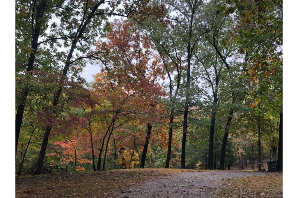 Photo of Outdoor in Pettit