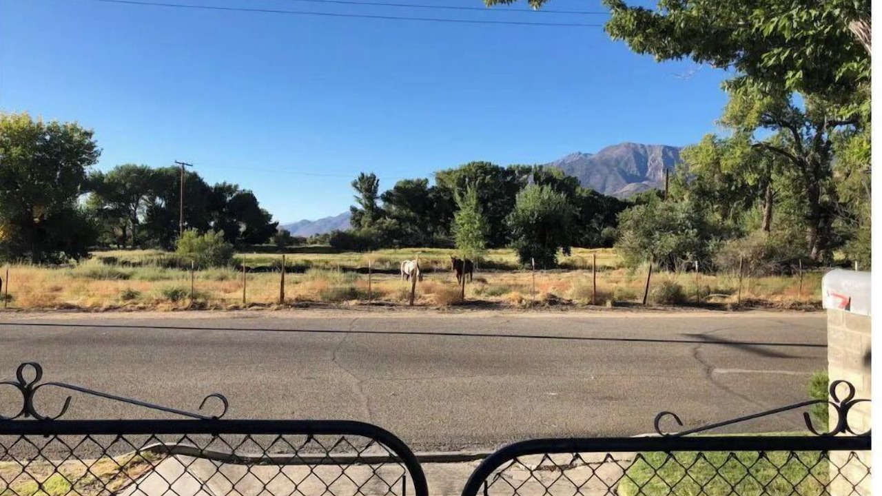 Photo of Others in Bishop