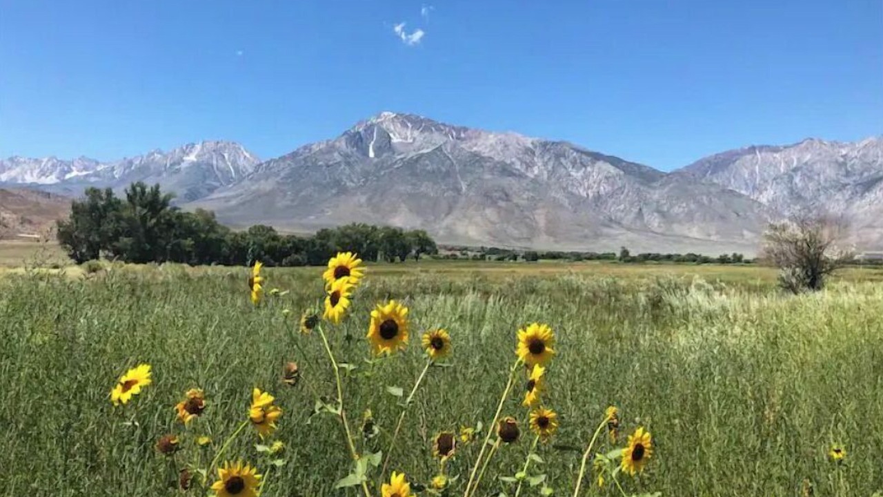 Photo of Others in Bishop