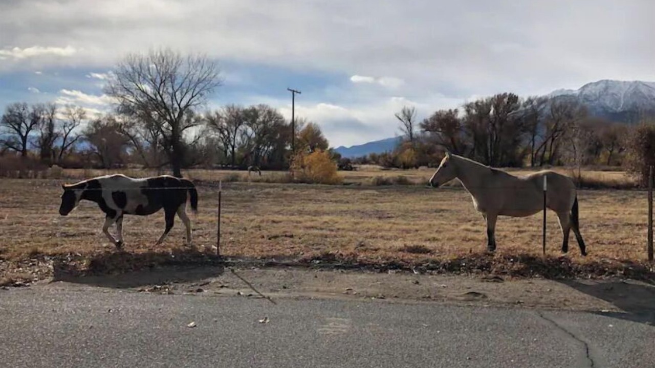 Photo of Others in Bishop