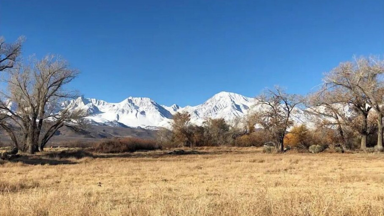 Photo of Outdoor in Bishop