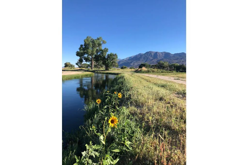 Photo of Others in Bishop