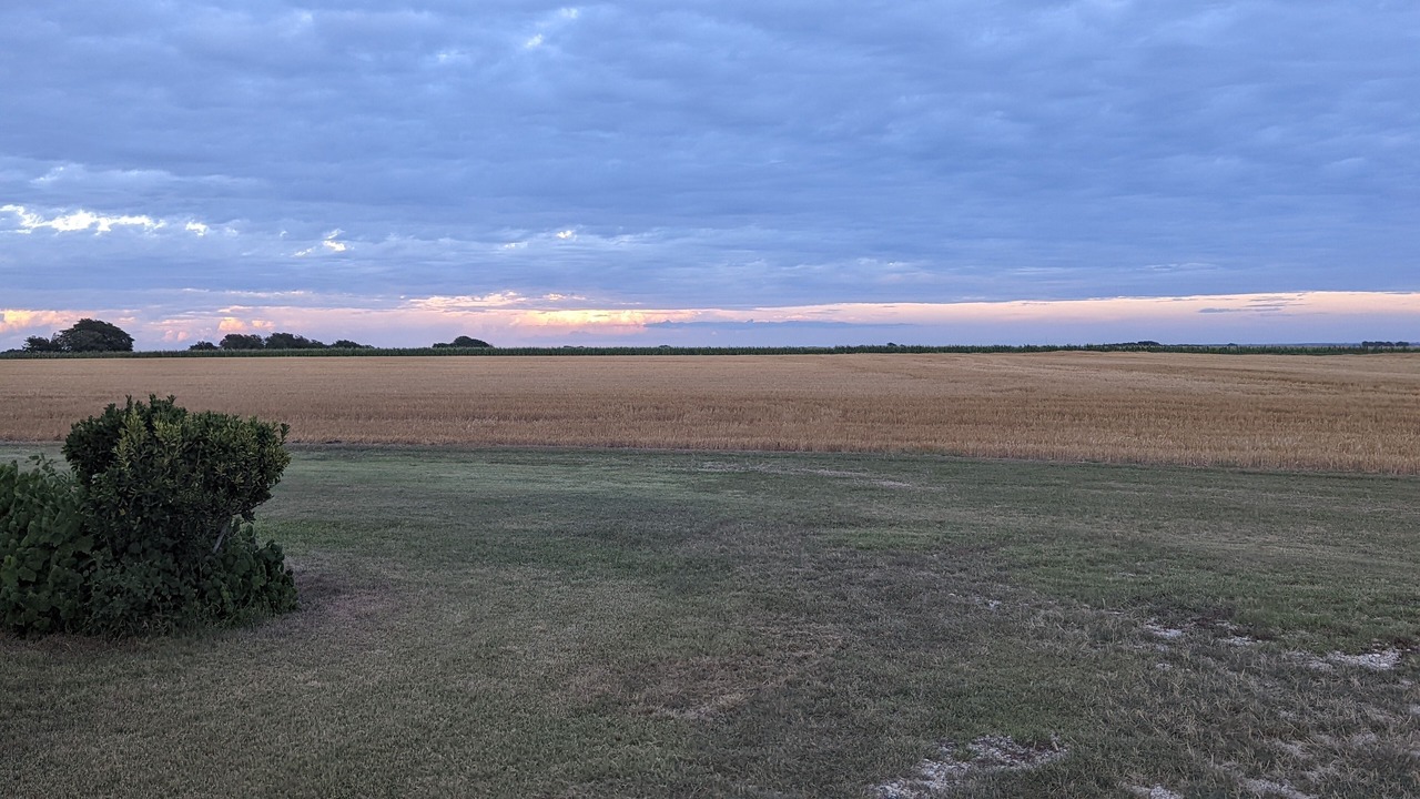 Photo of Others in Taylor