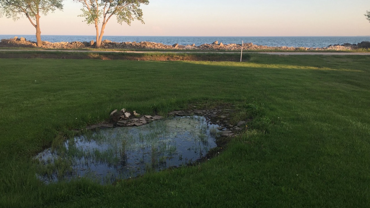 Photo of Outdoor in Kingsville