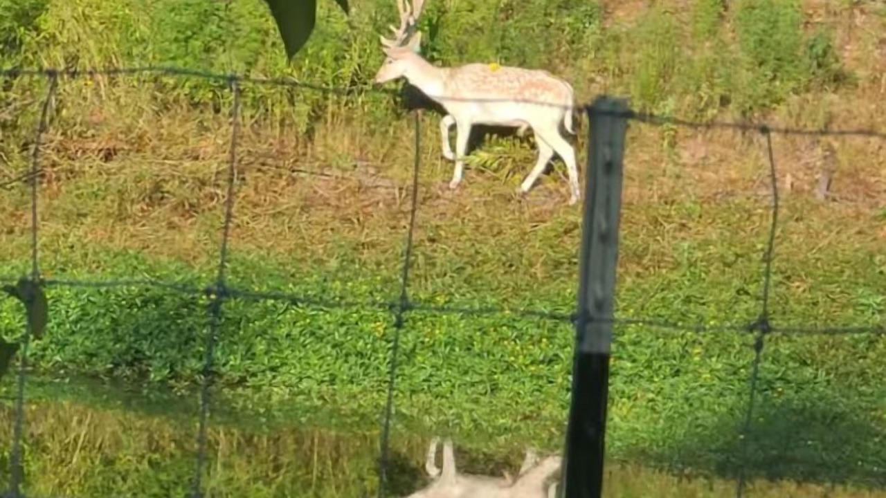 Photo of Others in Lufkin