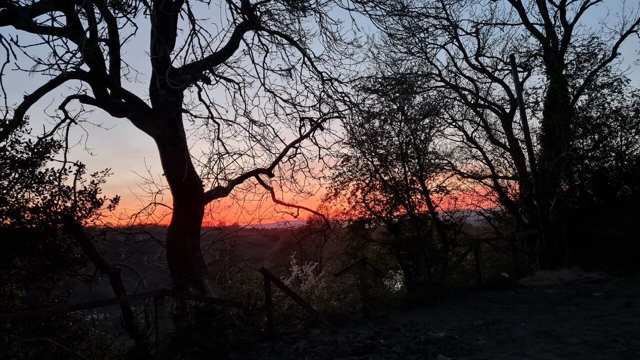 Photo of Others in Ynysddu