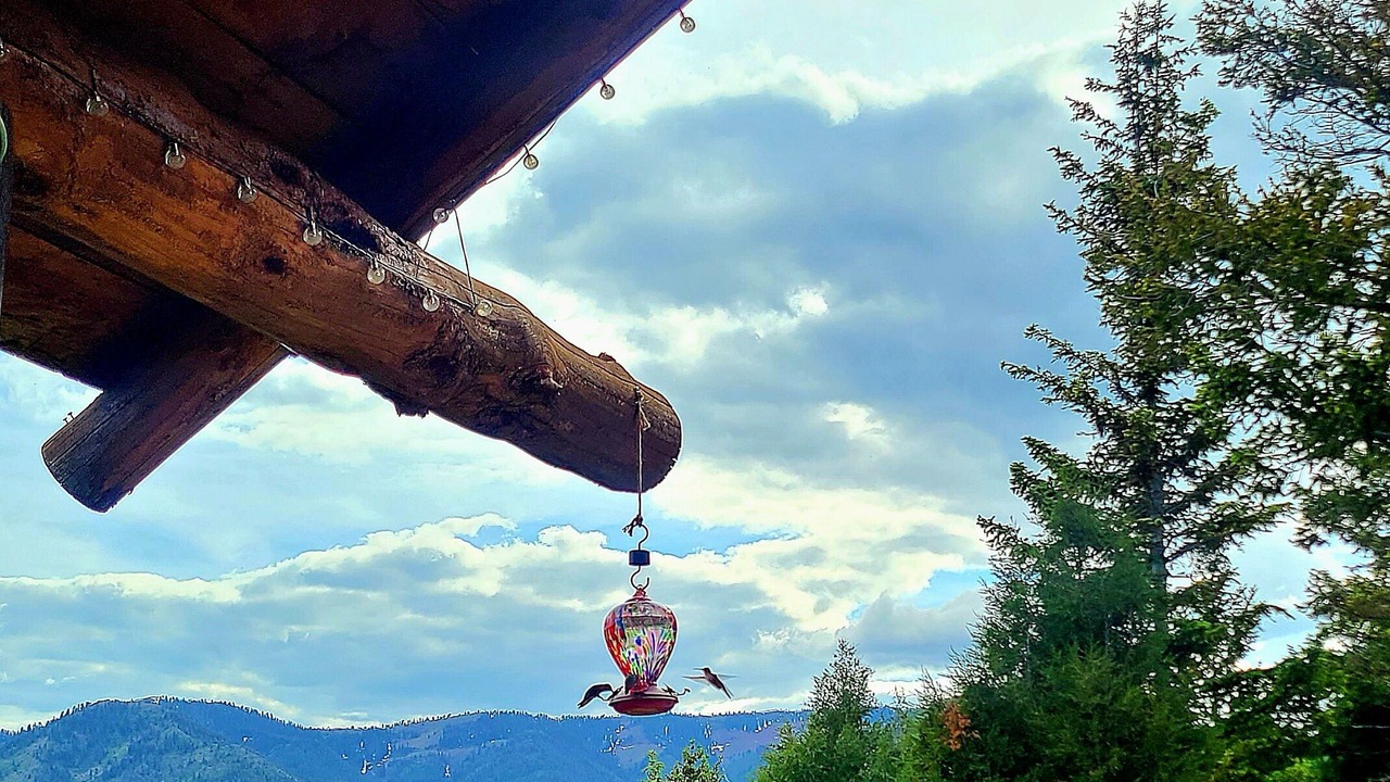 Photo of Outdoor in Palisades