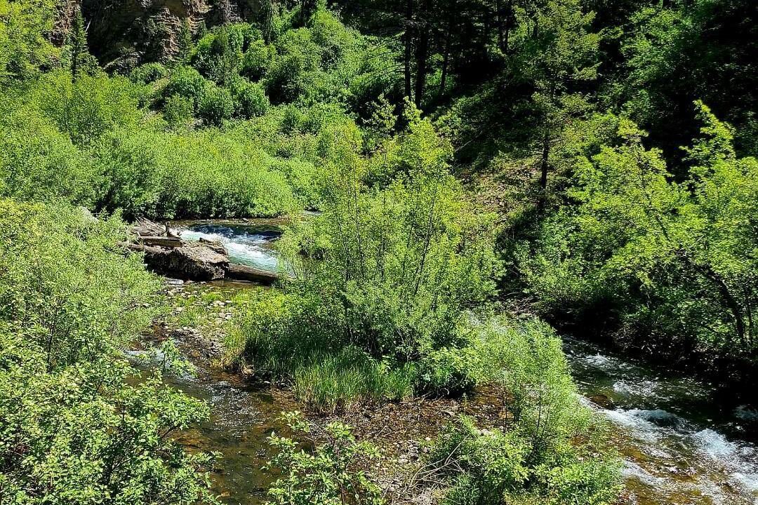 Photo of Outdoor in Palisades