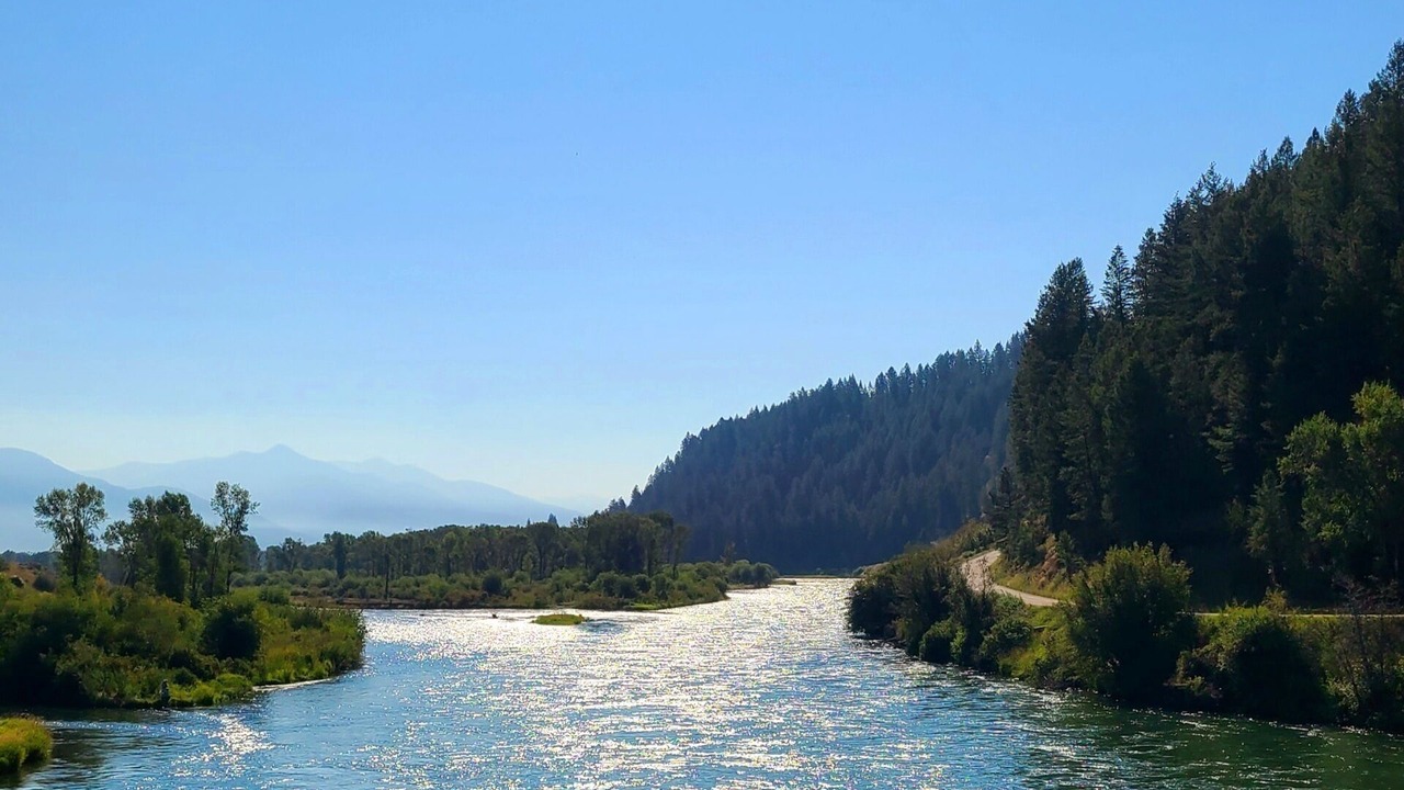 Photo of Others in Palisades