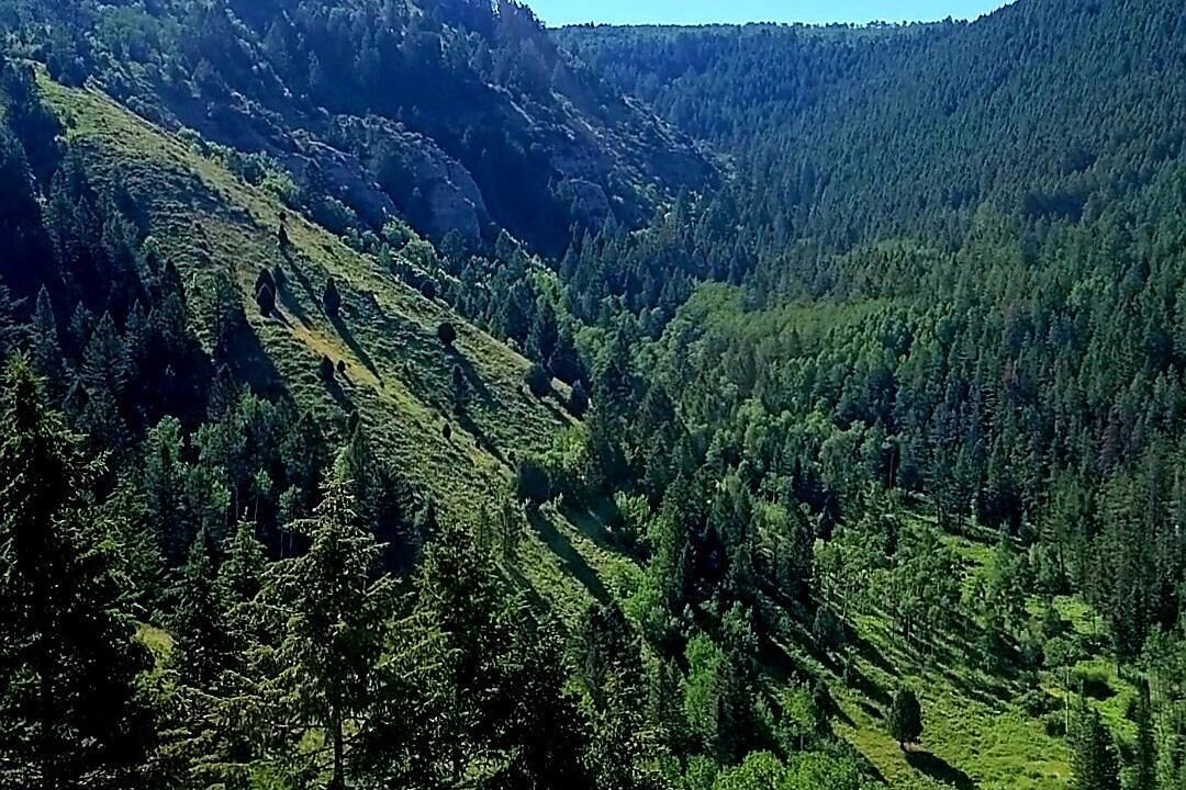 Photo of Others in Palisades