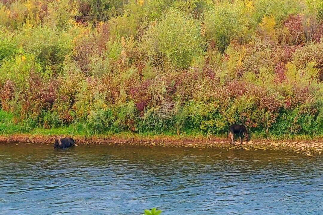 Photo of Others in Palisades