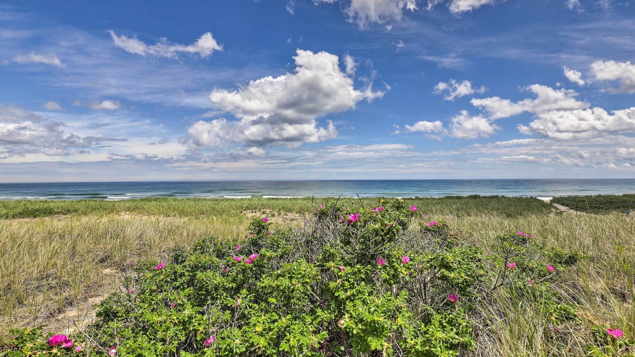 Photo of Others in Salisbury