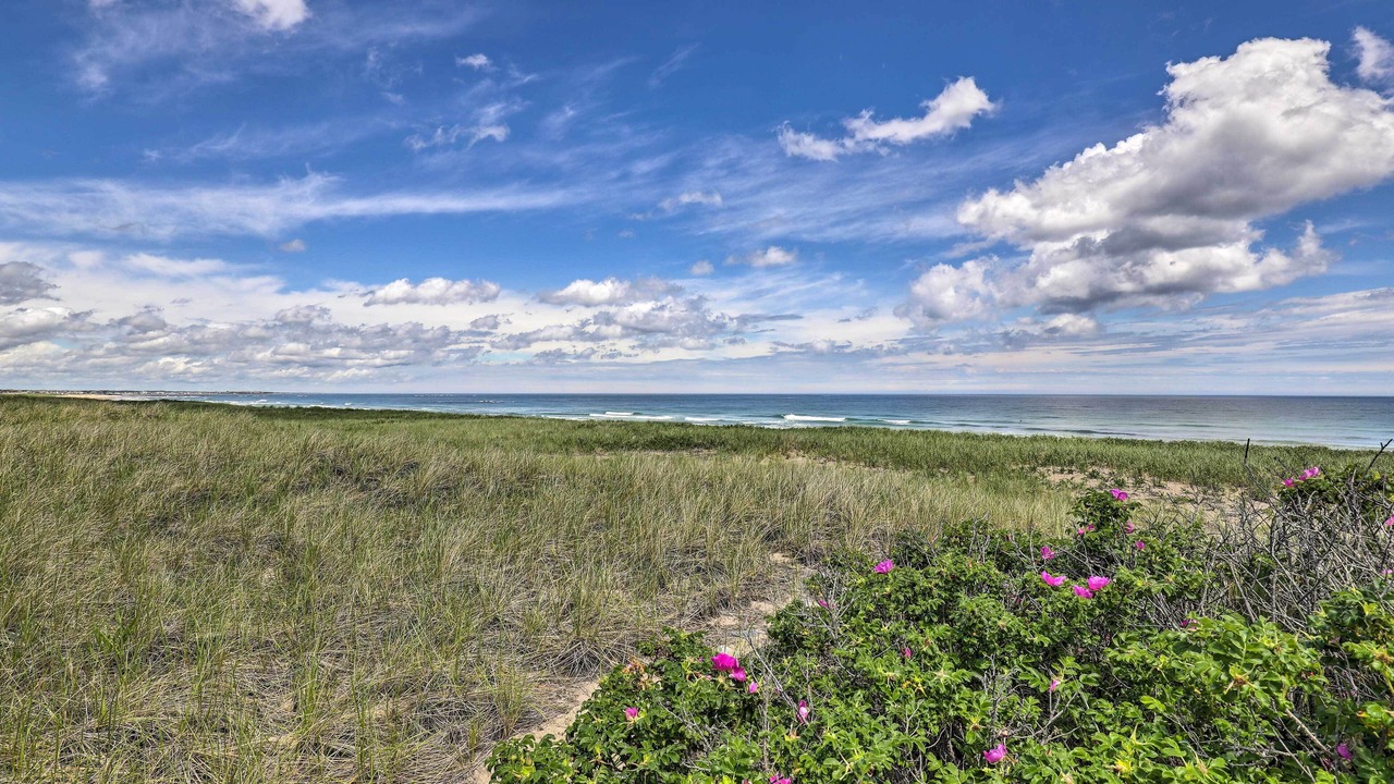 Photo of Others in Salisbury