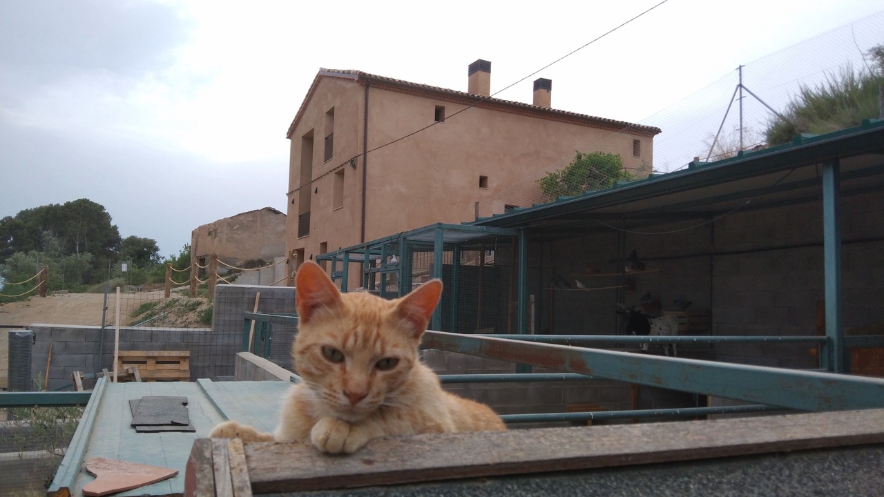 Photo of Outdoor in Ivars D'Urgell