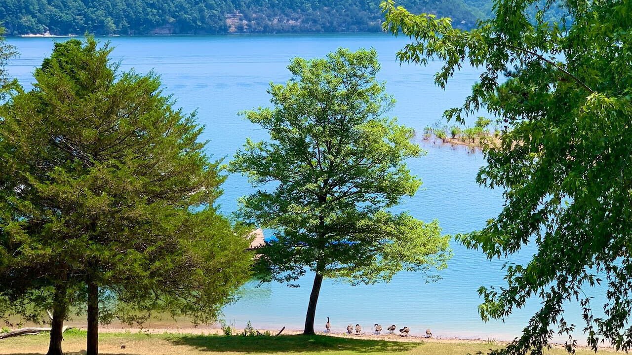 Photo of Others in Beaver Shores