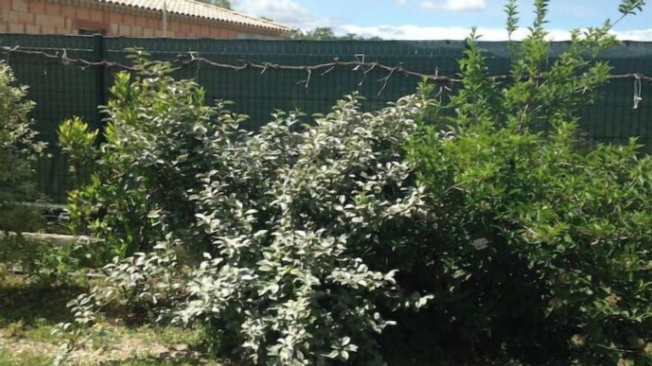 Photo of Outdoor in Tornac